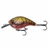 13 Fishing Baits
