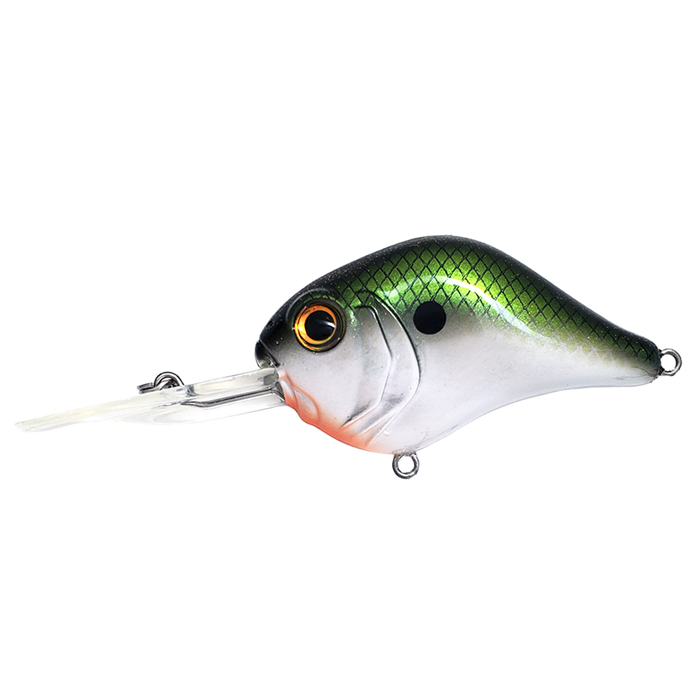 Baits Bill Lewis Baits -ElaZtech store 12mr39 nh.627d382fc2075