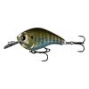 13 Fishing Baits