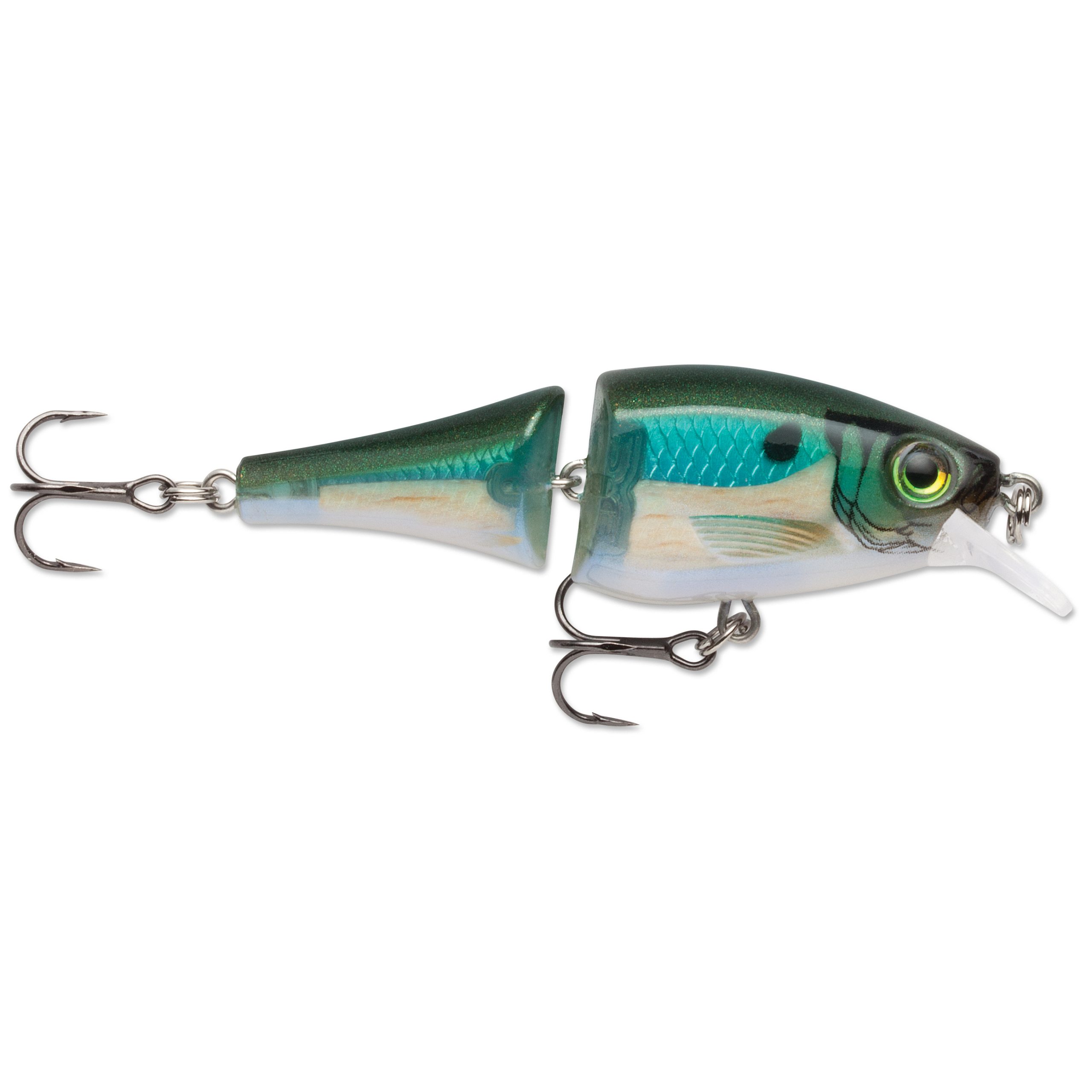 Baits Rapala Baits -ElaZtech store bxjsd bbh.5d09521f3d5e9 scaled