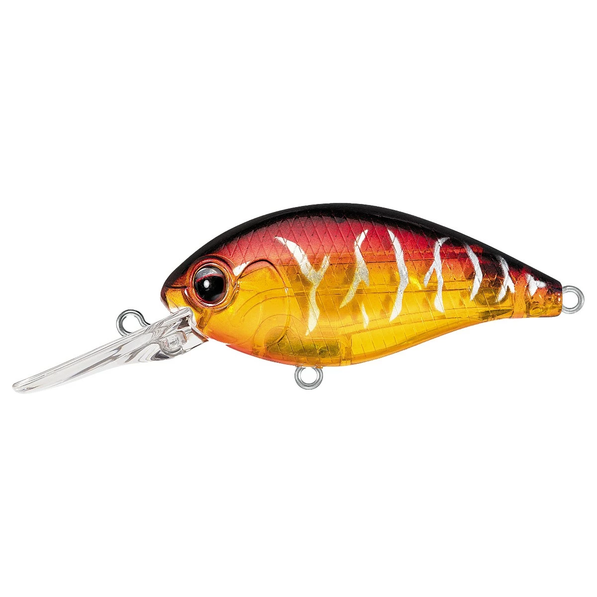 Evergreen Baits