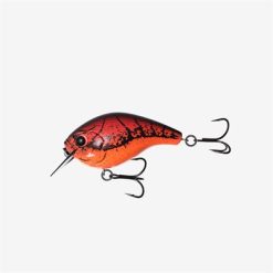 13 Fishing Baits
