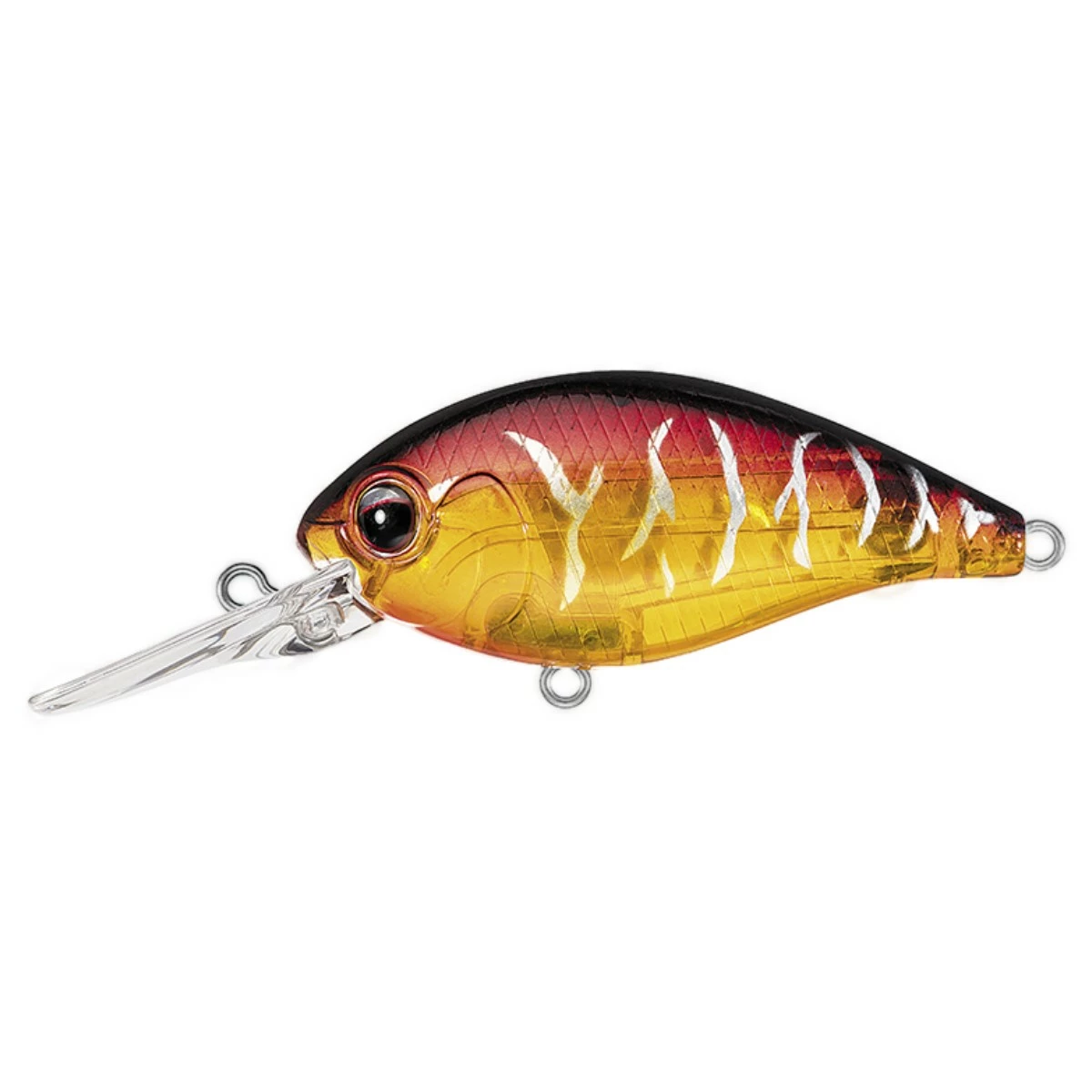 Evergreen Baits