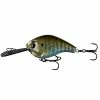 13 Fishing Baits