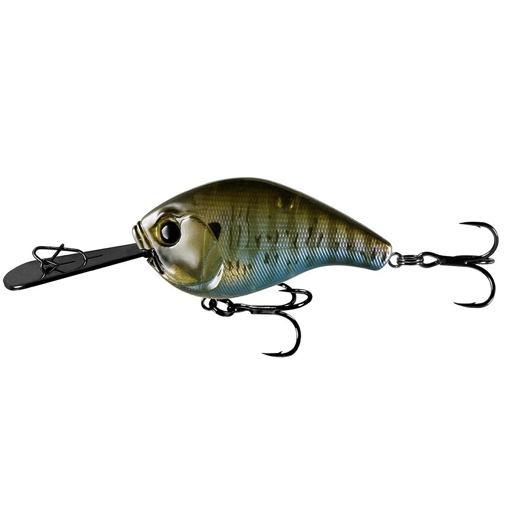13 Fishing Baits