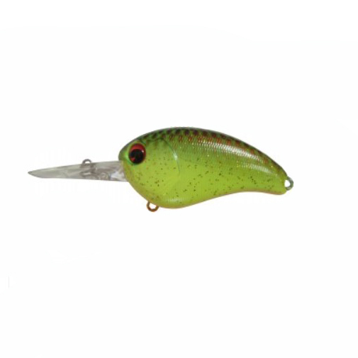 Baits Ima Baits -ElaZtech store ima 165.6363d8e32a1fe