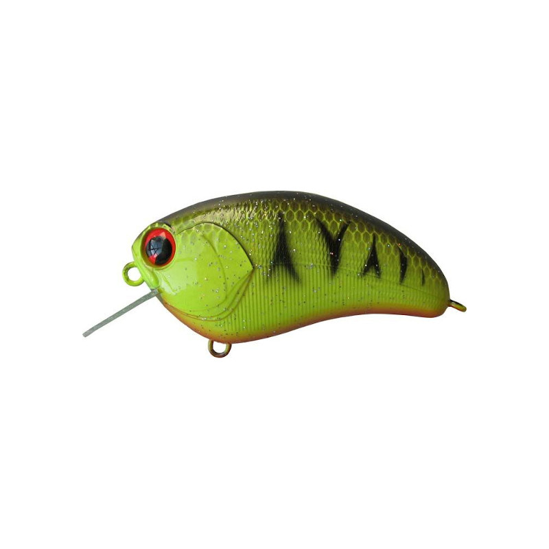 Baits Ima Baits -ElaZtech store ima c 161.5de7f4e33dc68