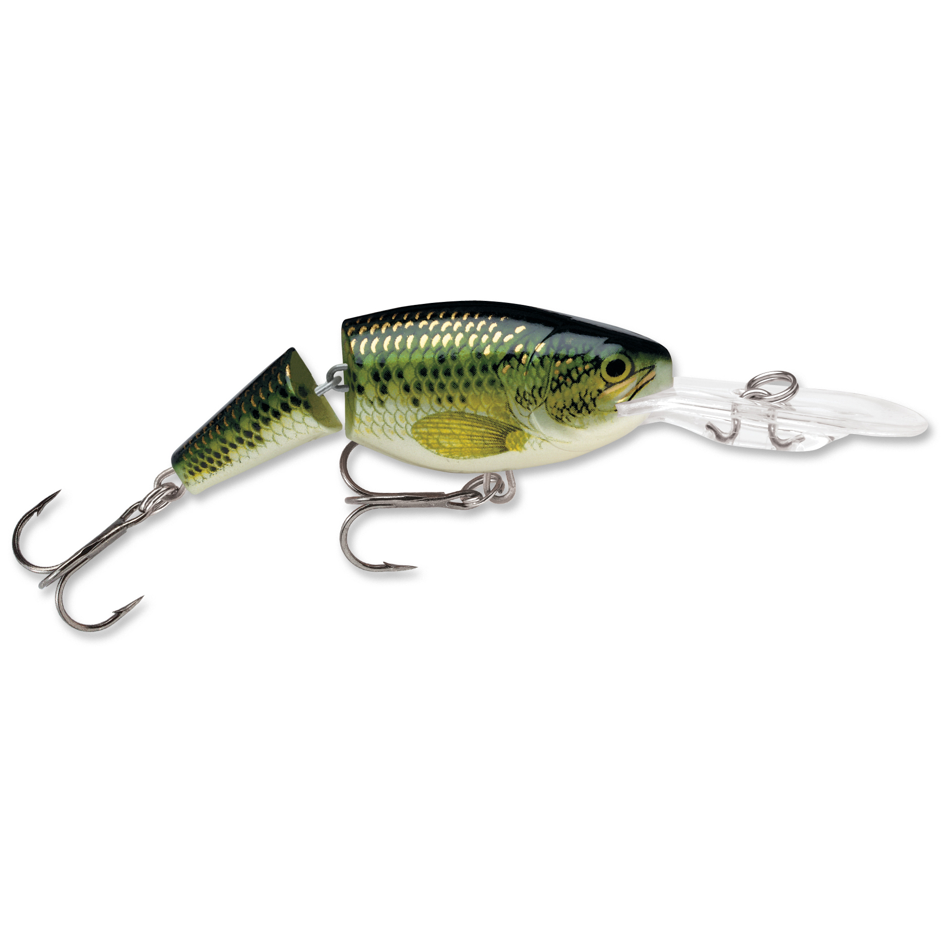 Baits Rapala Baits -ElaZtech store jsr bb.5d09522a4c532
