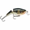 Rapala Baits