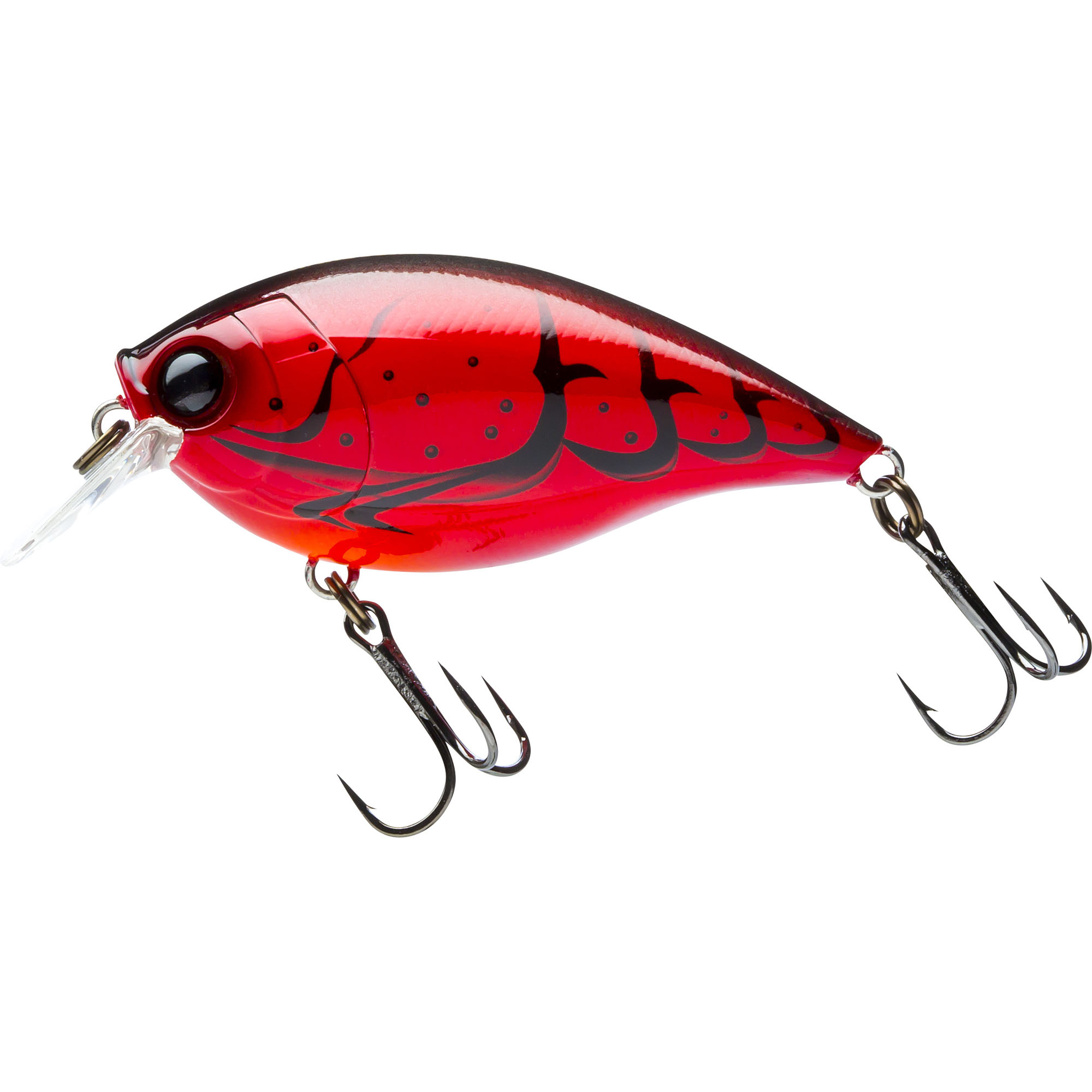 Baits Hardcore Baits -ElaZtech store r1363 cf.5f498723e52ce