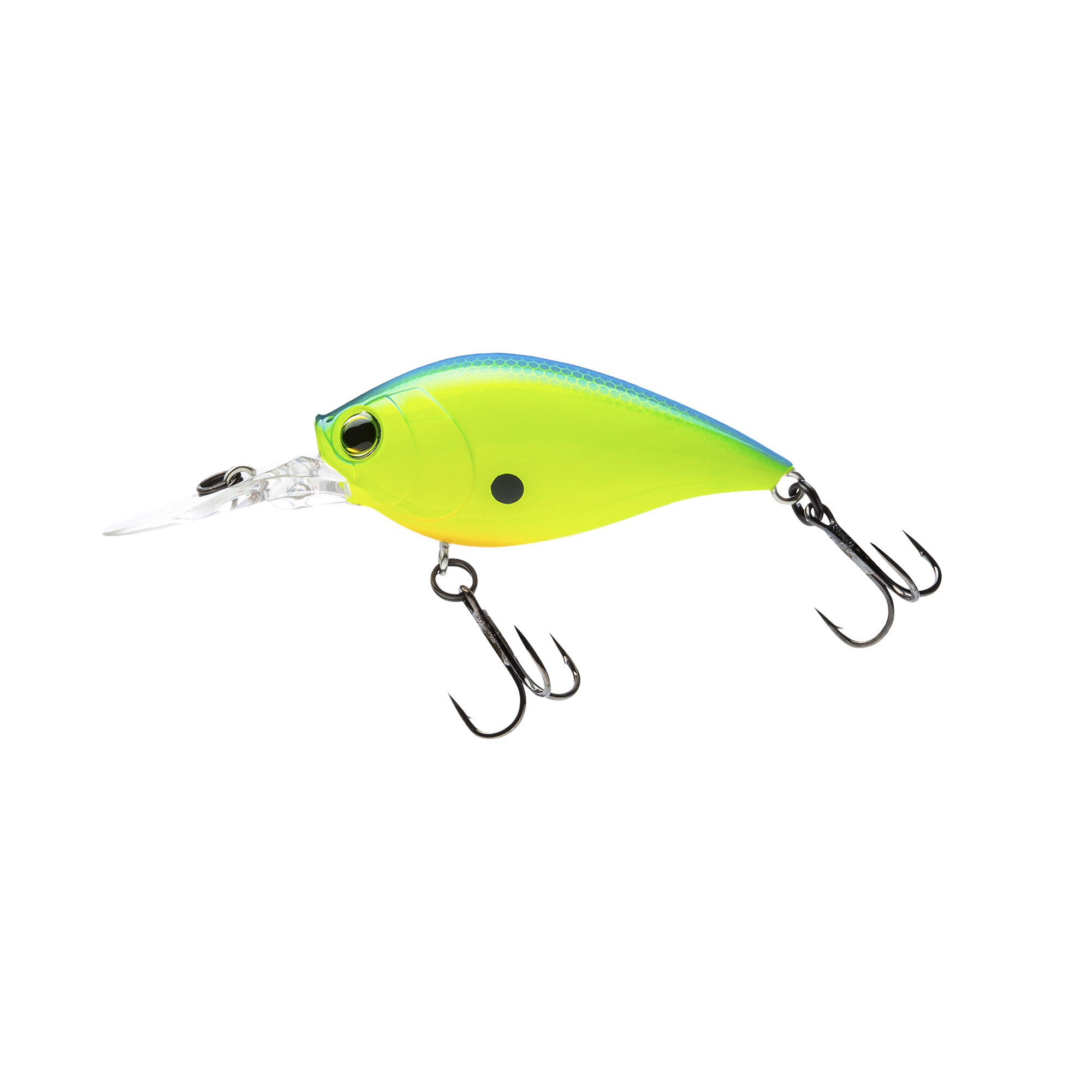 Baits Hardcore Baits -ElaZtech store r1364 bcl.5f4987242d68c