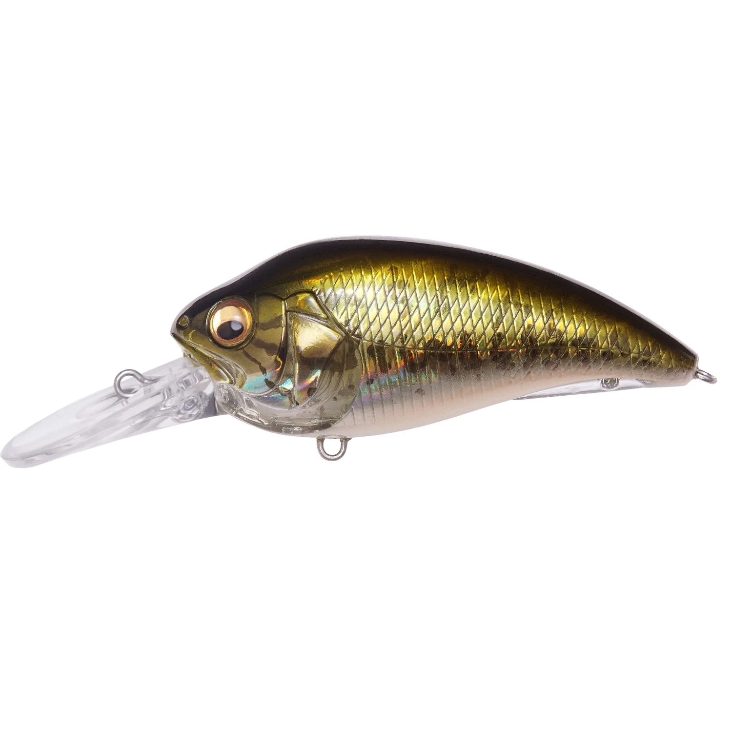 Megabass Baits