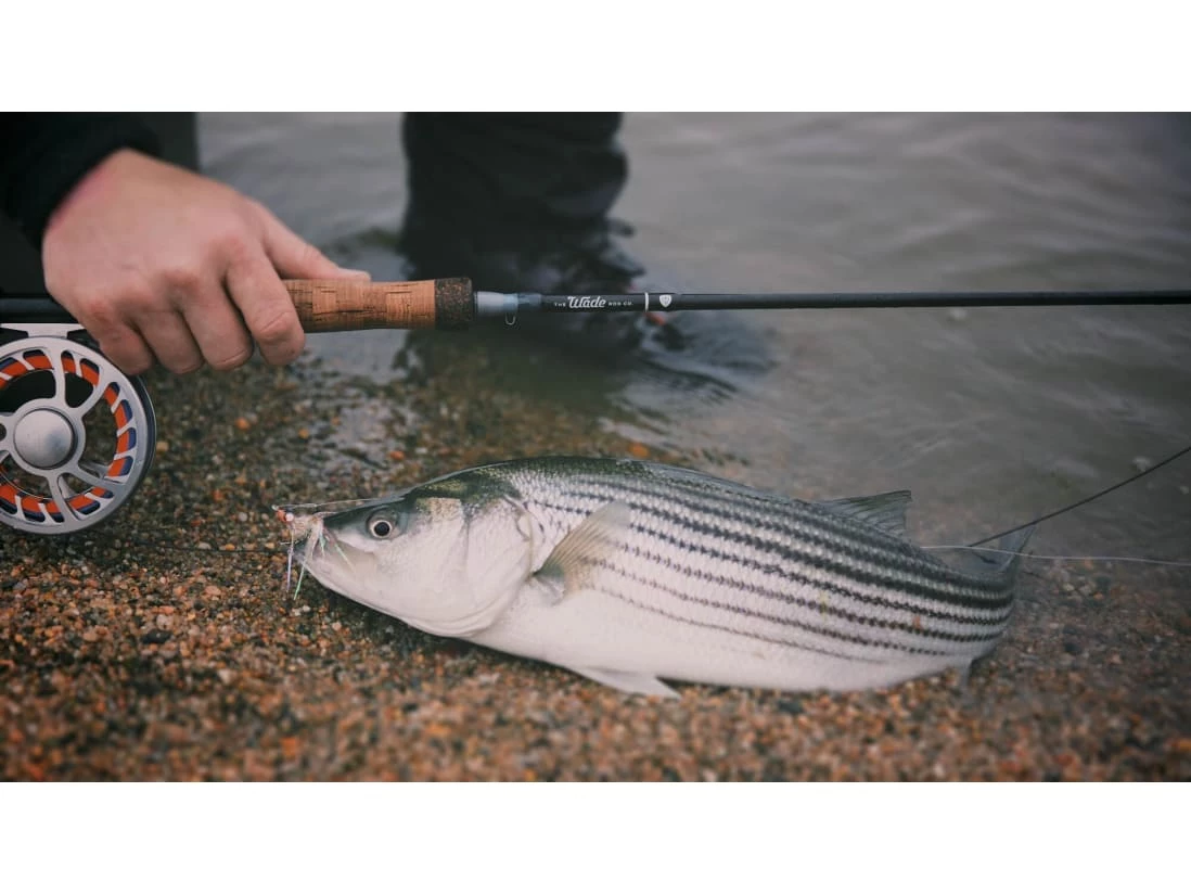 Wade Rod Co. The Tide Chaser 2.0 Fly Rod - Image 3